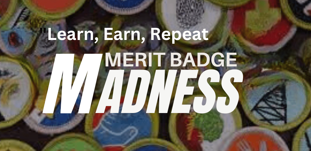 Merit Badge Madness