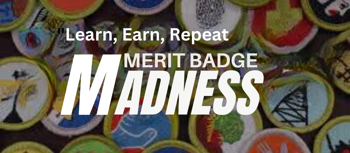 Merit Badge Madness